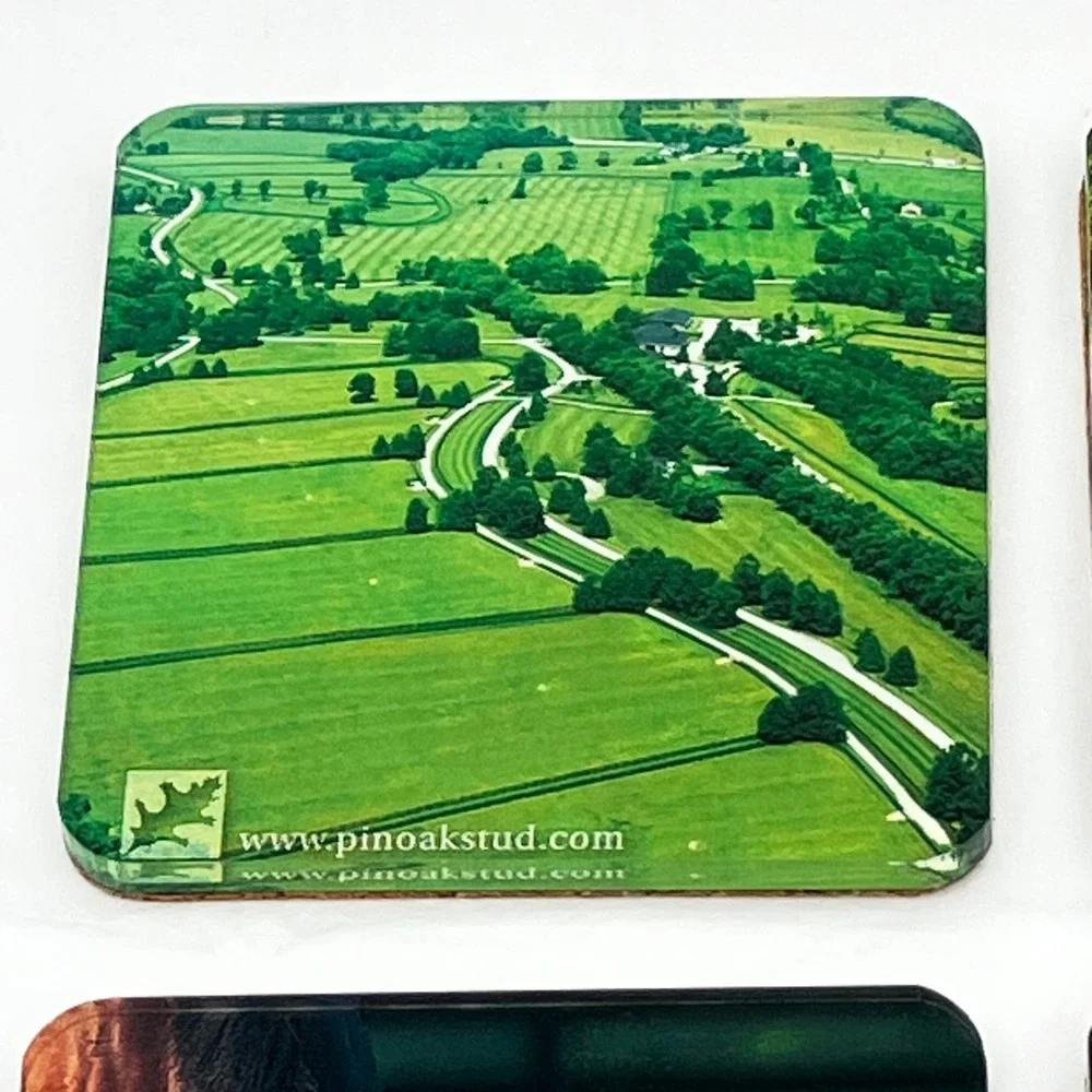 Pin Oak Stud Coaster Set of 4 Multicolor Horse Equestrian Photography Acrylic